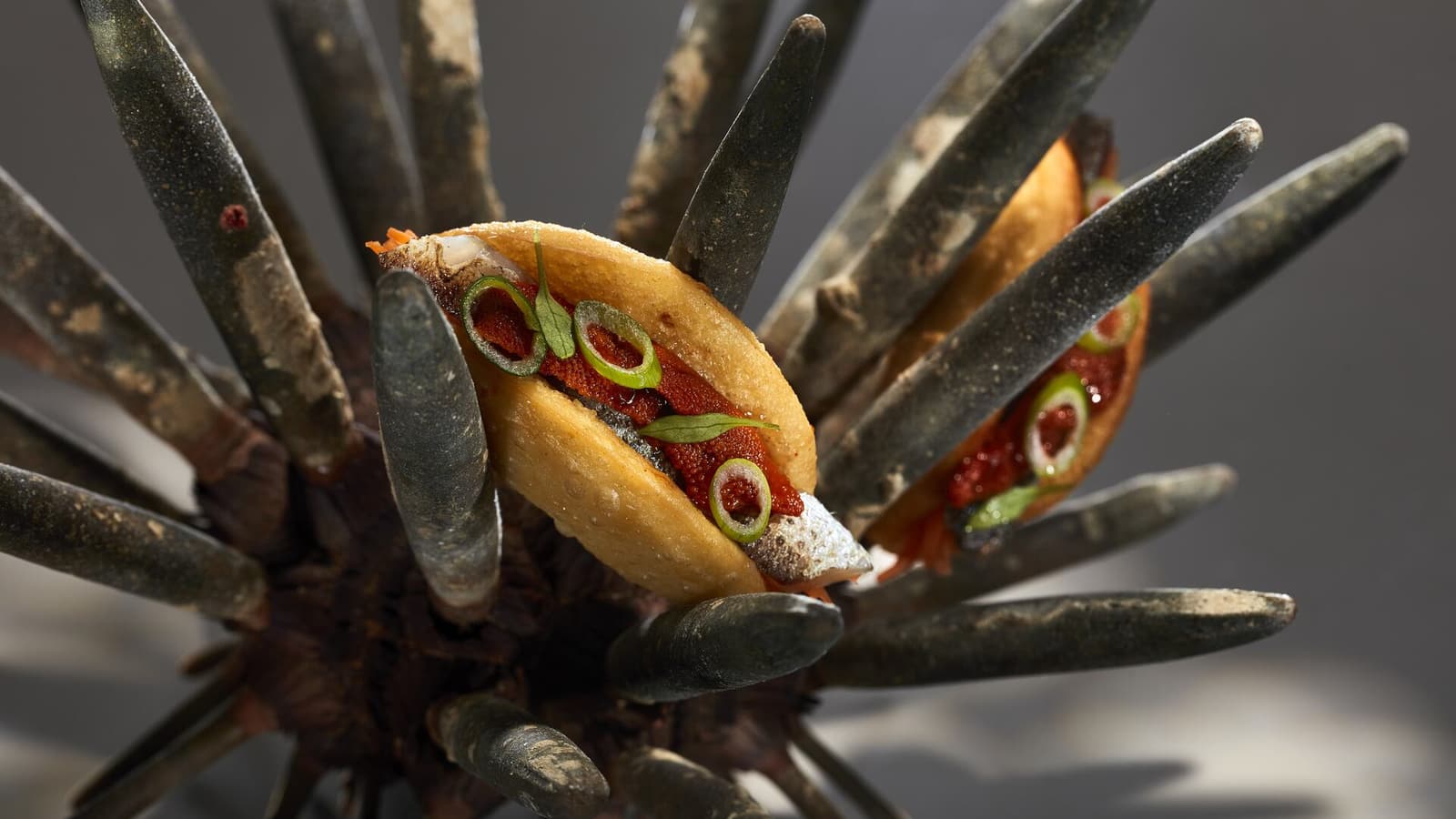 A close-up of two bite-size seafood courses set between the dark spines of a sea-urchin-like serving vessel.