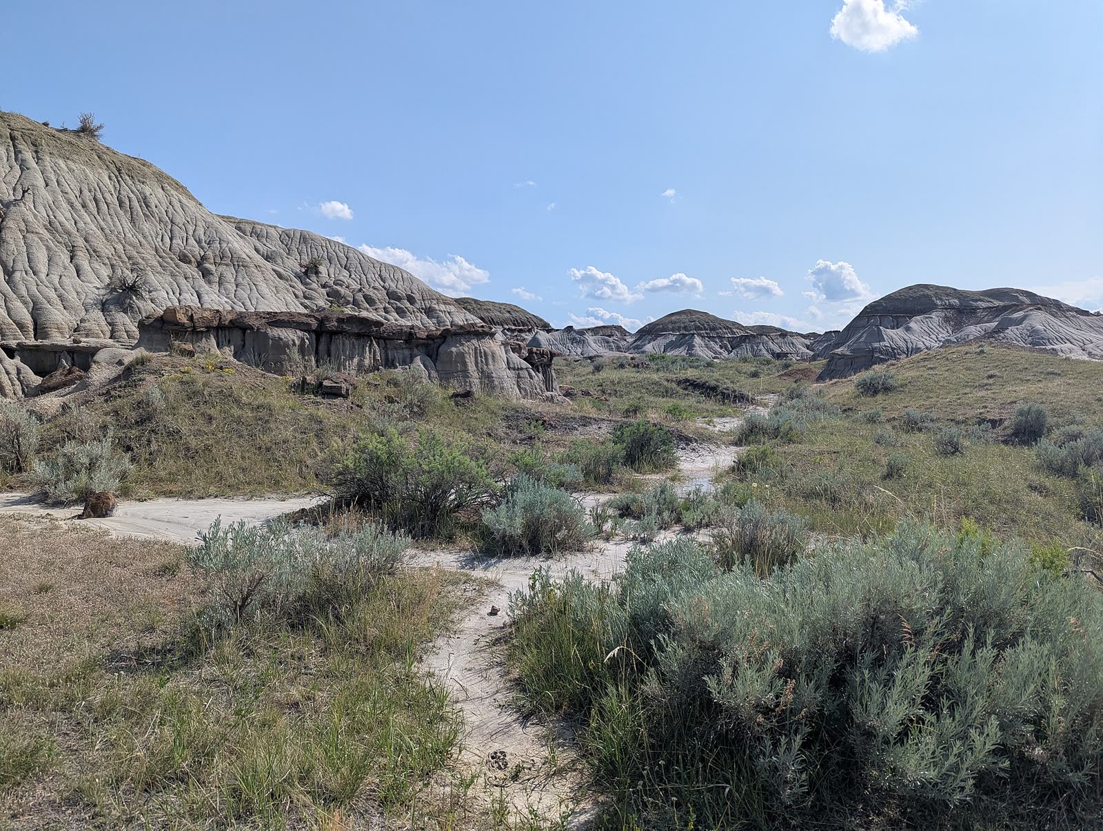 Layered badlands in Dinosaur Provincial Park under a blue sky, with eroded gullies and sparse vegetation exposing sedimentary slopes.