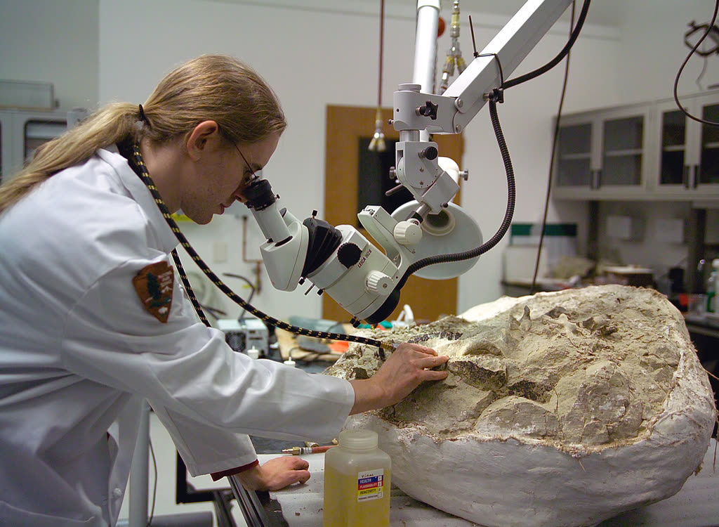 A fossil preparator works on a specimen at a lab bench inside the Condon Center for Paleontology.