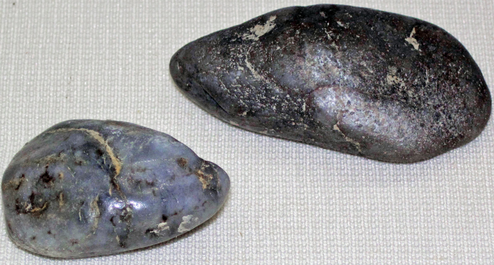 A photograph of polished sauropod gastroliths from the Jurassic of Montana displayed against a dark background.
