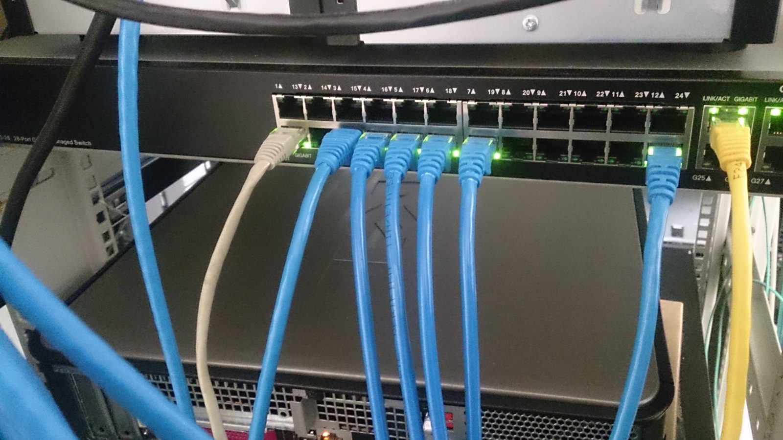 A real photograph of Ethernet cables connected to a network switch.
