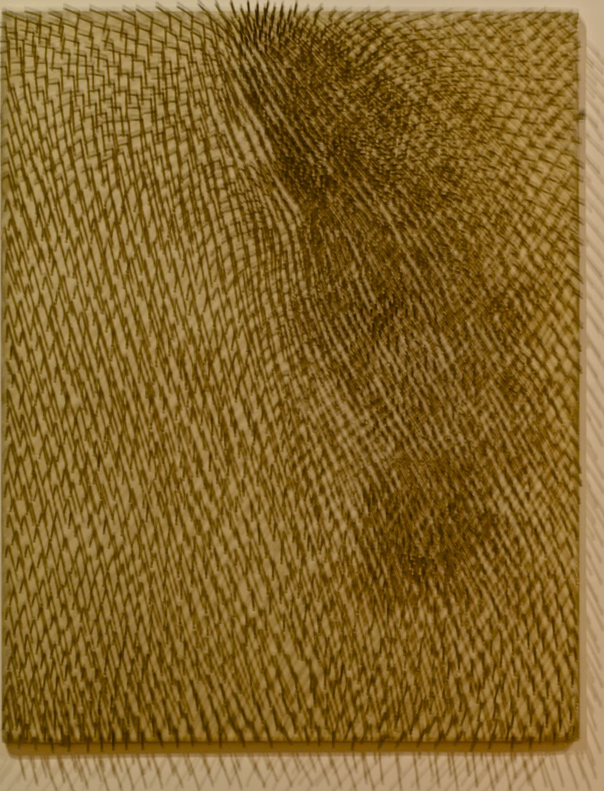 Gunther Uecker 1963 年钉子浮雕《Composition》的近距离照片：一排排涂过颜料的钉子在浅色表面上投下细小阴影。