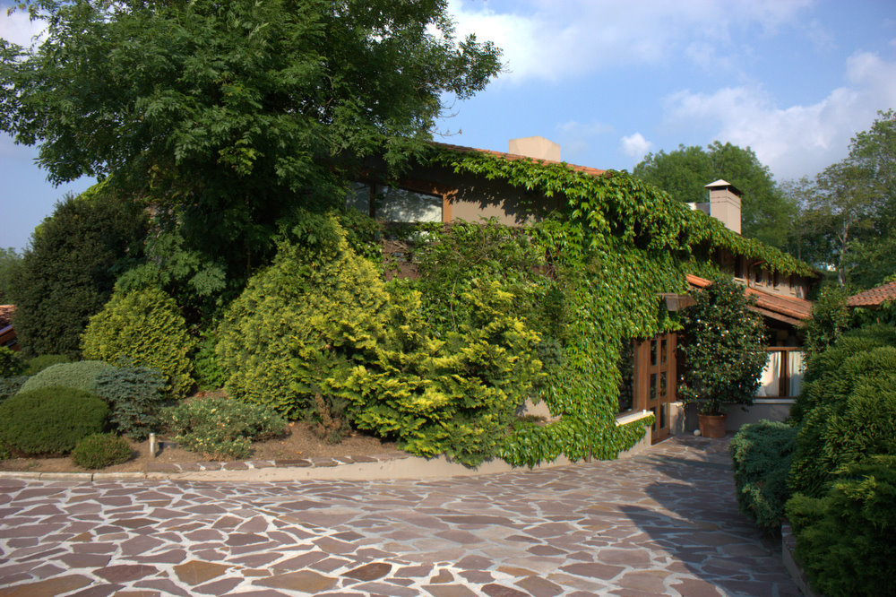 The ivy-covered front entrance of Mugaritz in Errenteria, Spain, photographed from a stone path.