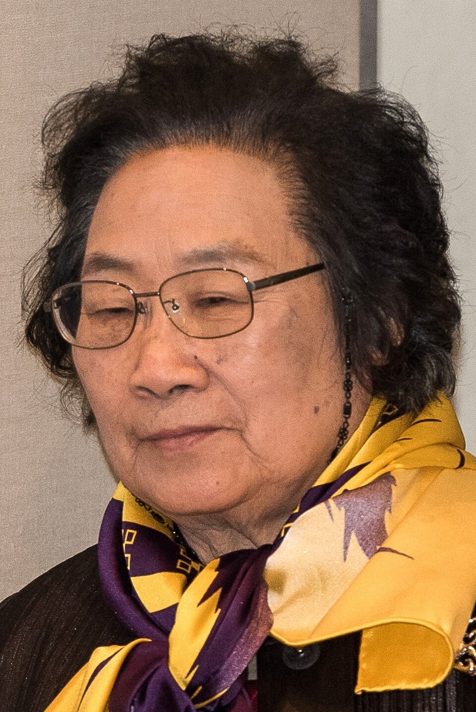 Photograph of Tu Youyou at a 2015 Nobel medicine event in Stockholm.