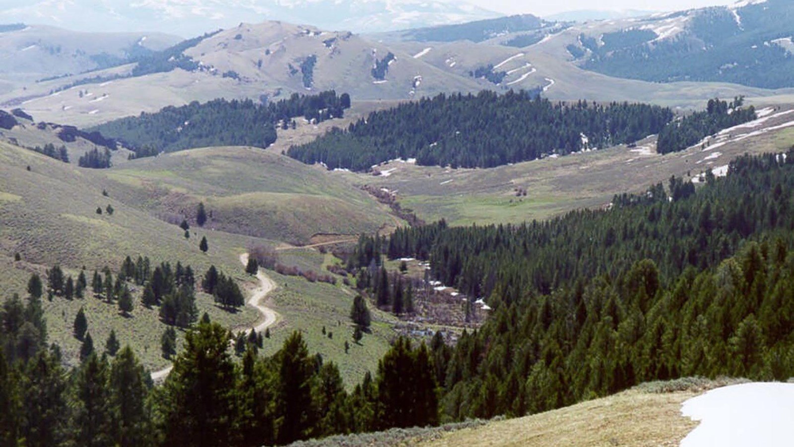 A mountain pass with trees, snow patches, grass, and a trail descending across Lemhi Pass.