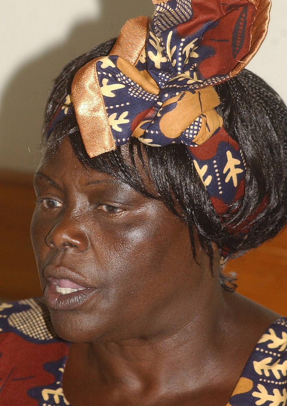 Portrait photograph of Wangari Maathai wearing a patterned headwrap and speaking during a 2006 conference in Brazil.