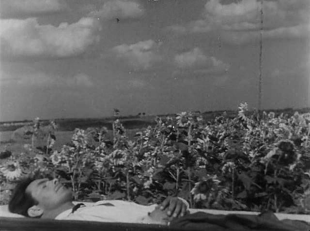 A black-and-white frame from Earth showing Vasyl's open casket carried through sunflower fields in a funeral procession.
