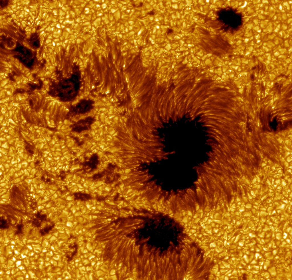 Close observational photograph of dark sunspots and filament-like penumbral structure on the solar surface.