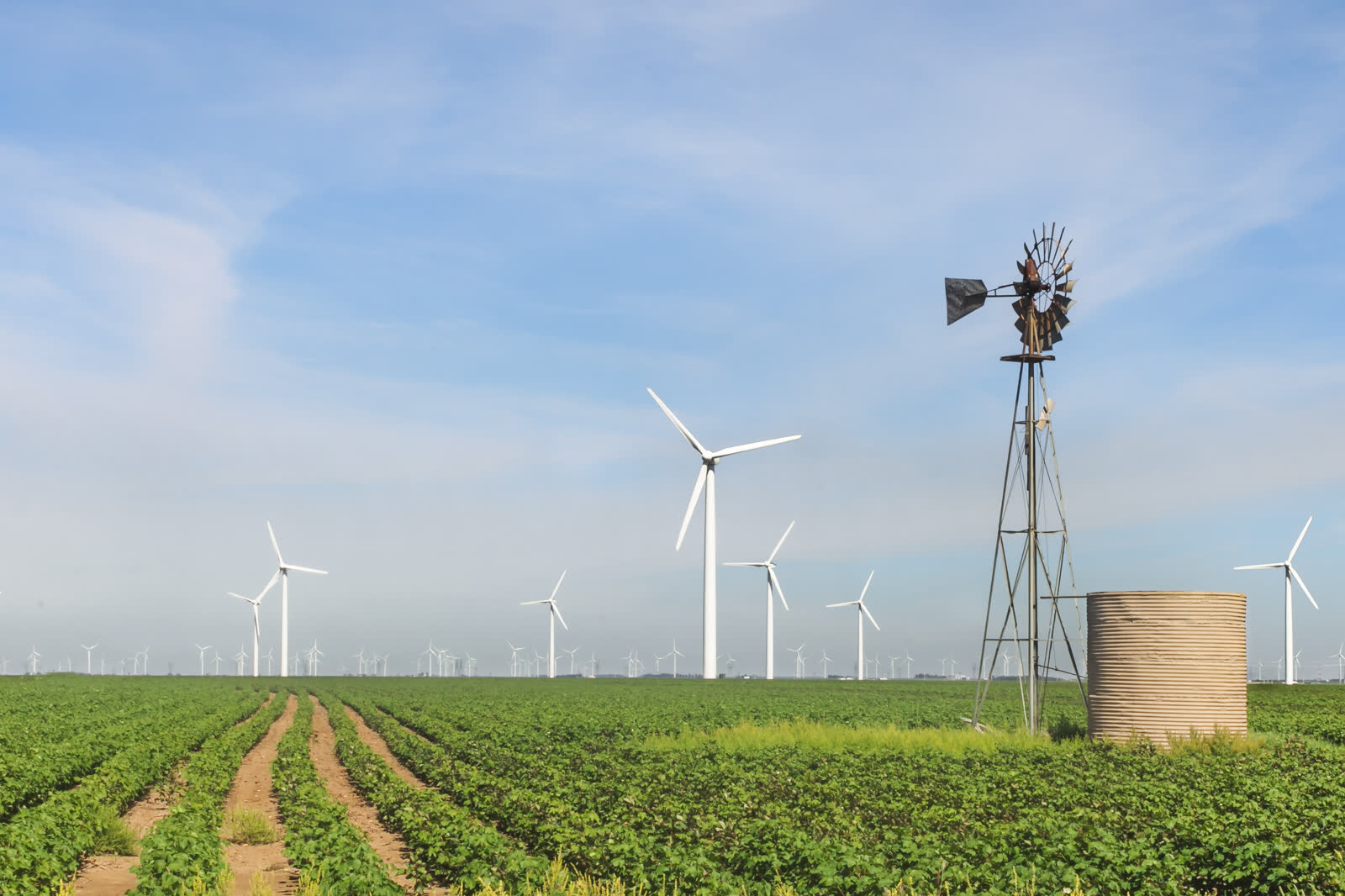 Photograph of wind turbines and an older metal windmill at the Roscoe Wind Farm in West Texas.