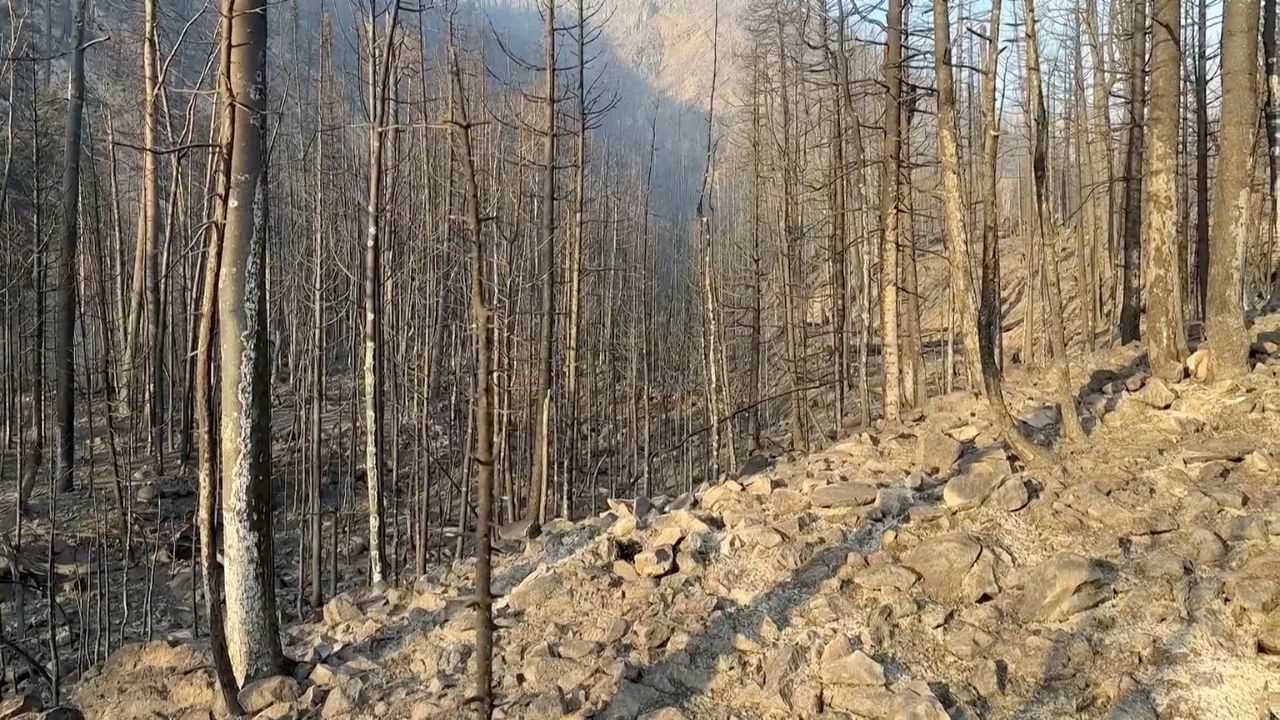Smoke rises from the Snyder Fire near Thompson Springs, Utah, on June 28, 2026.