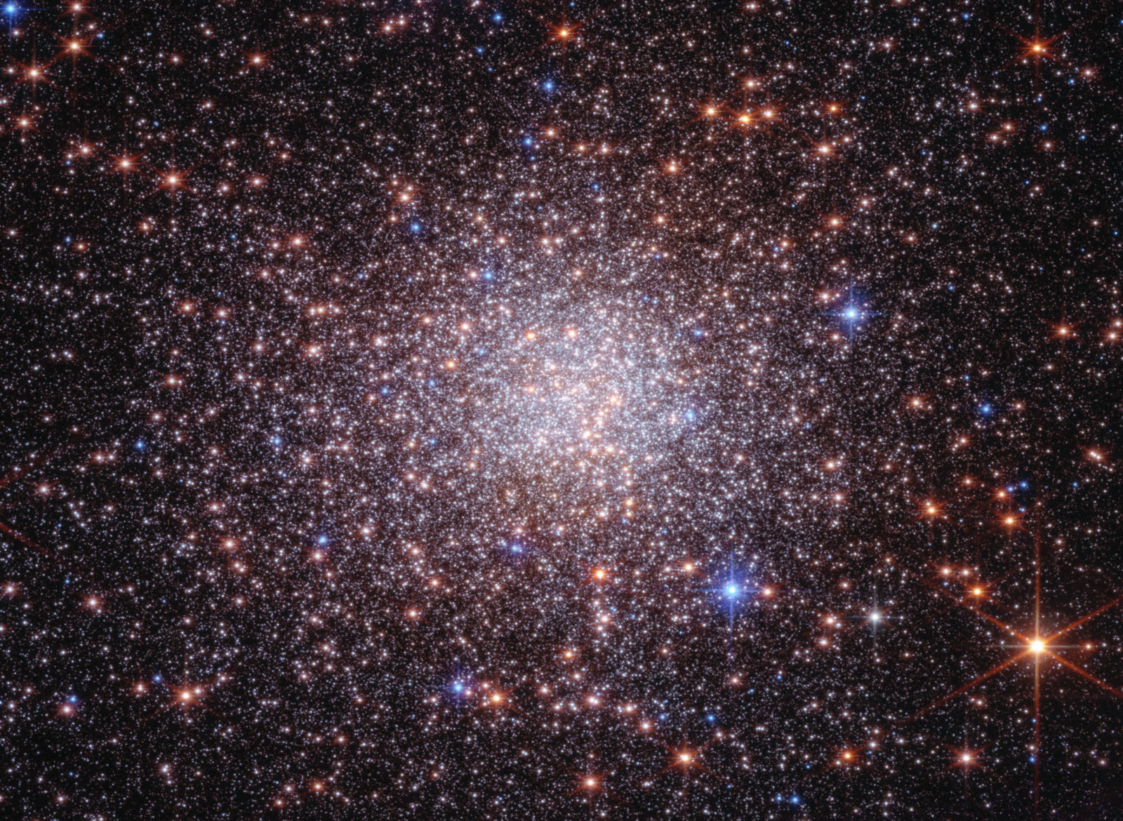 Webb and Hubble telescope image of the crowded Terzan 5 starfield in the Milky Way bulge.