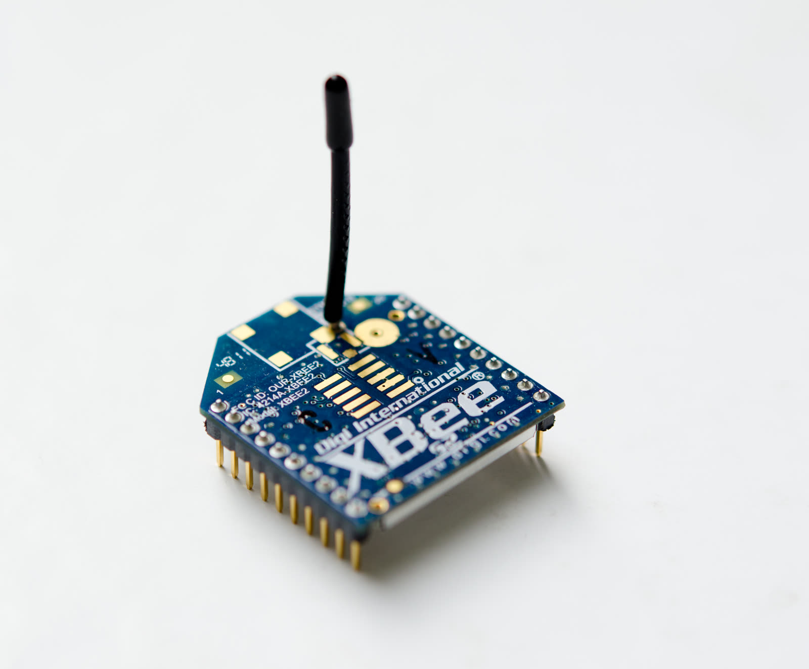 一张 XBee Series 2 ZigBee 模块的近距离照片，模块带有一根小型鞭状天线。
