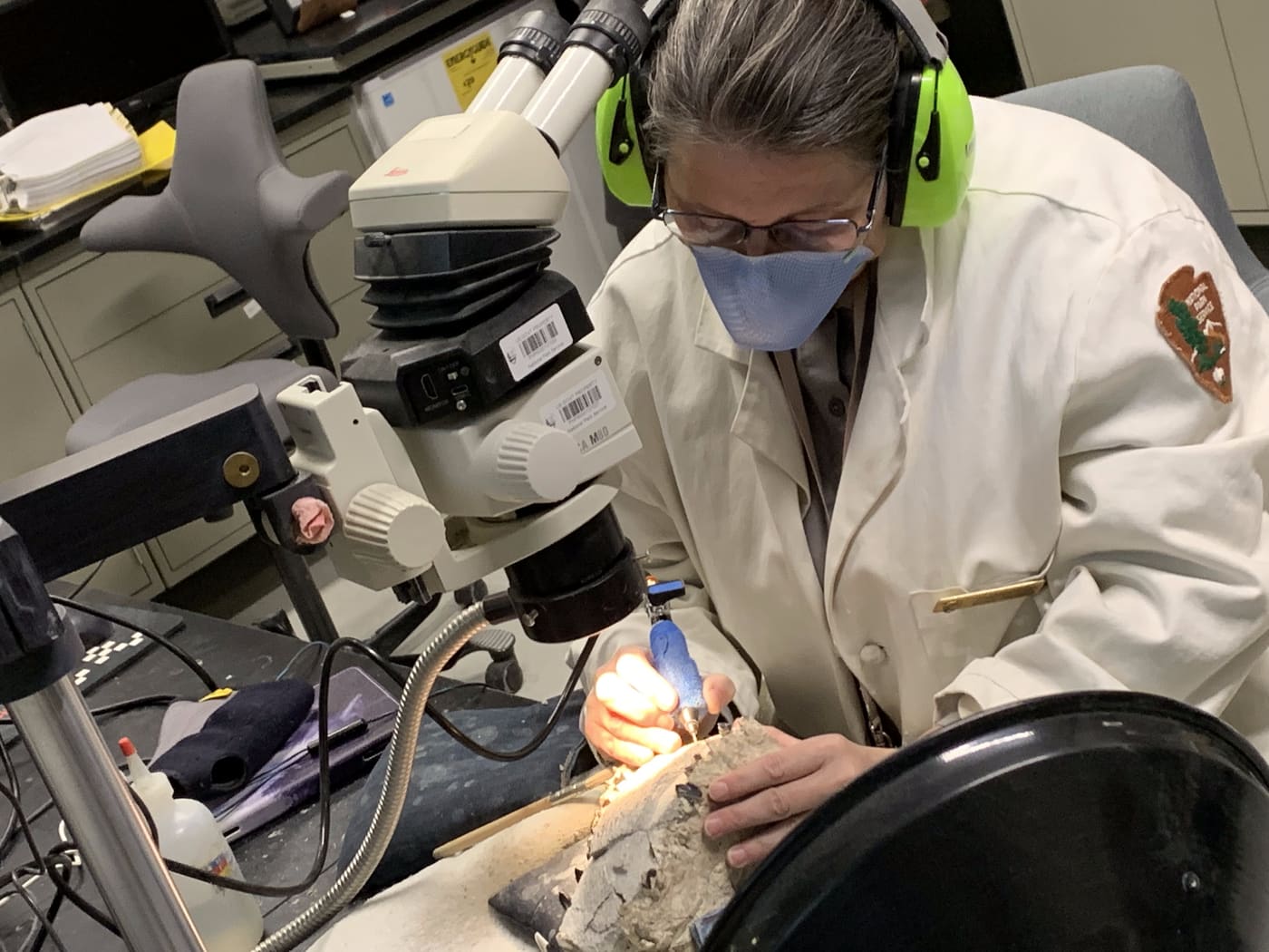 NPS photograph of a fossil preparator wearing eye protection, ear protection, and a mask while working under a microscope on a partly exposed fossil in the John Day Fossil Beds laboratory.