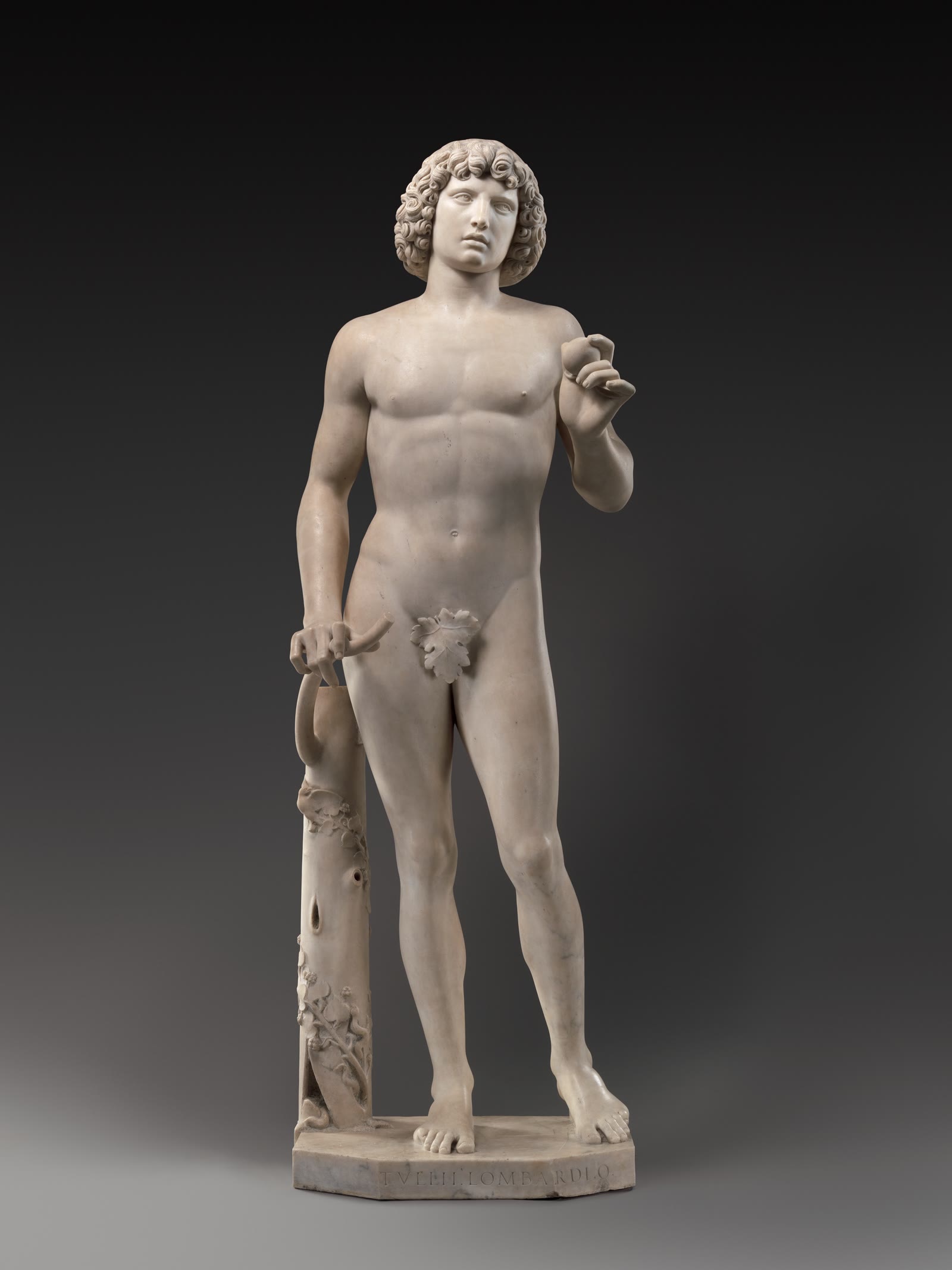Tullio Lombardo's restored marble Adam stands against a dark gray background, holding an apple beside a carved tree trunk.