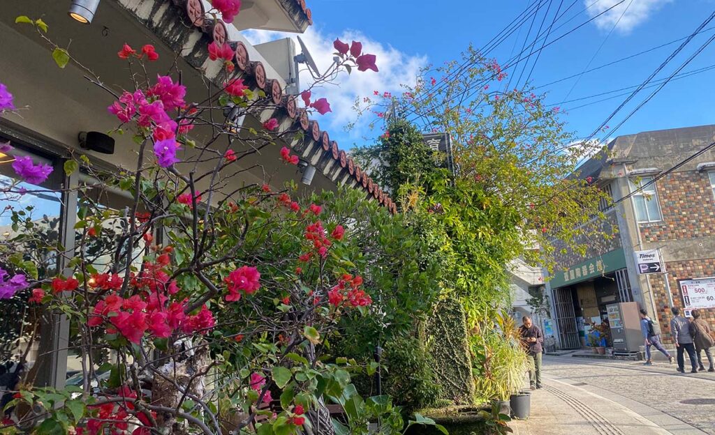 那霸壶屋 Yachimun 通上的花、瓦檐、行人、店铺招牌、石铺路面和头顶电线。