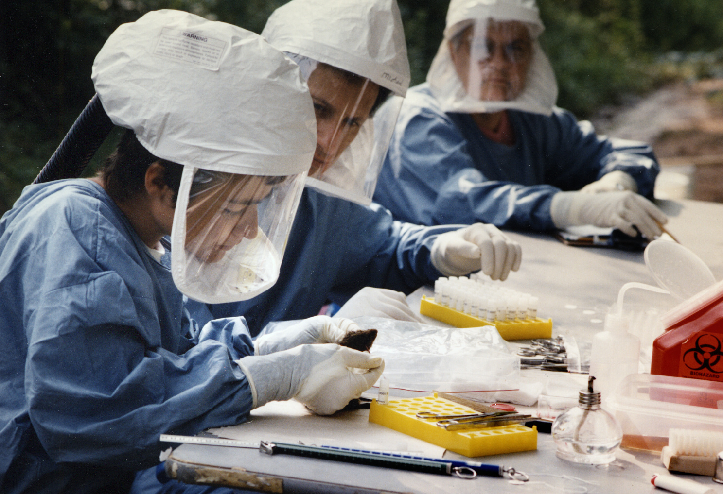 Three CDC health officials in protective gowns and face shields inspect hantavirus-related field specimens at an outdoor work table.