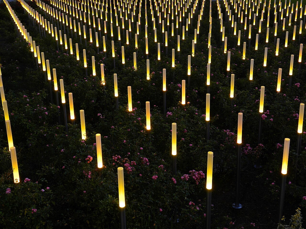 Rows of slender light stelae glowing among rose bushes at the Spiegelgrund memorial in Vienna.
