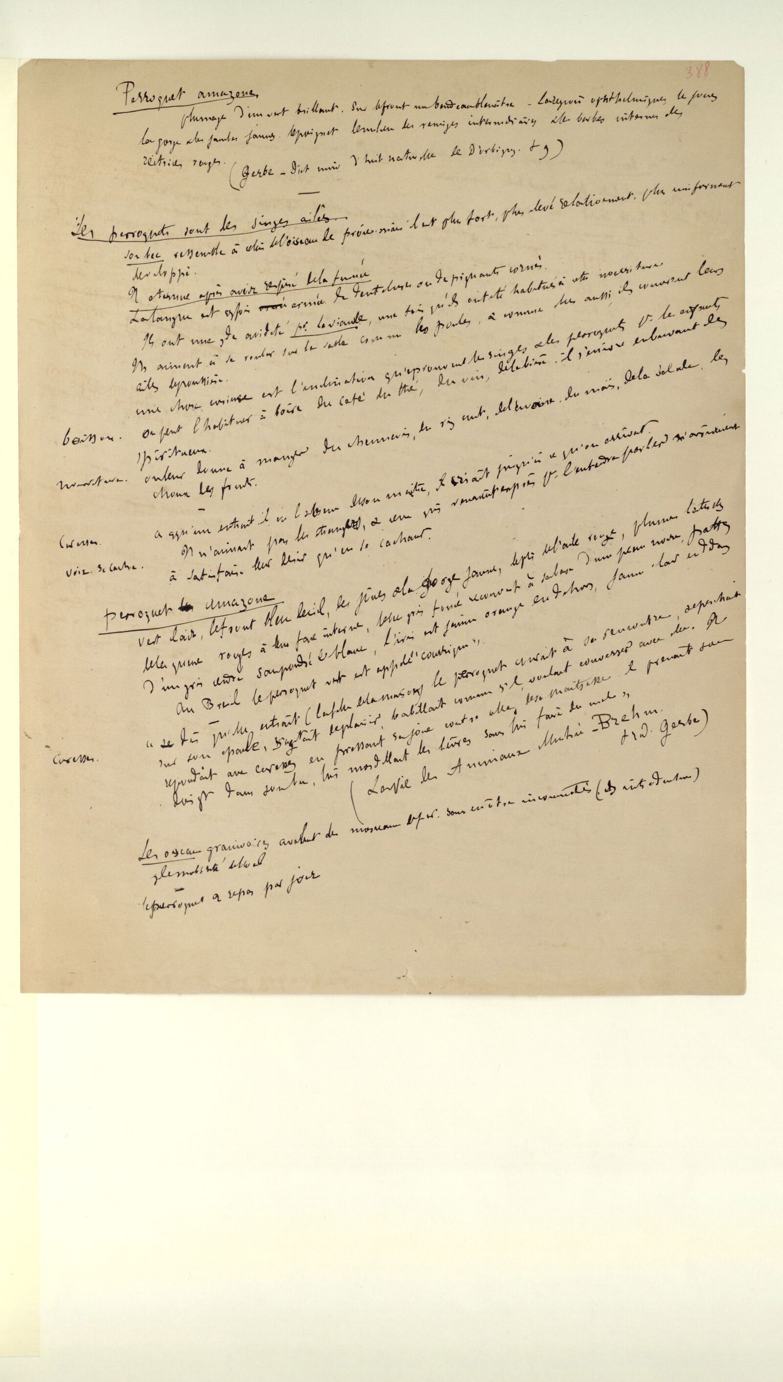 Digitized manuscript sheet of Gustave Flaubert's handwritten notes on Amazon parrots, written in dark ink across cream paper and headed Perroquet amazone.