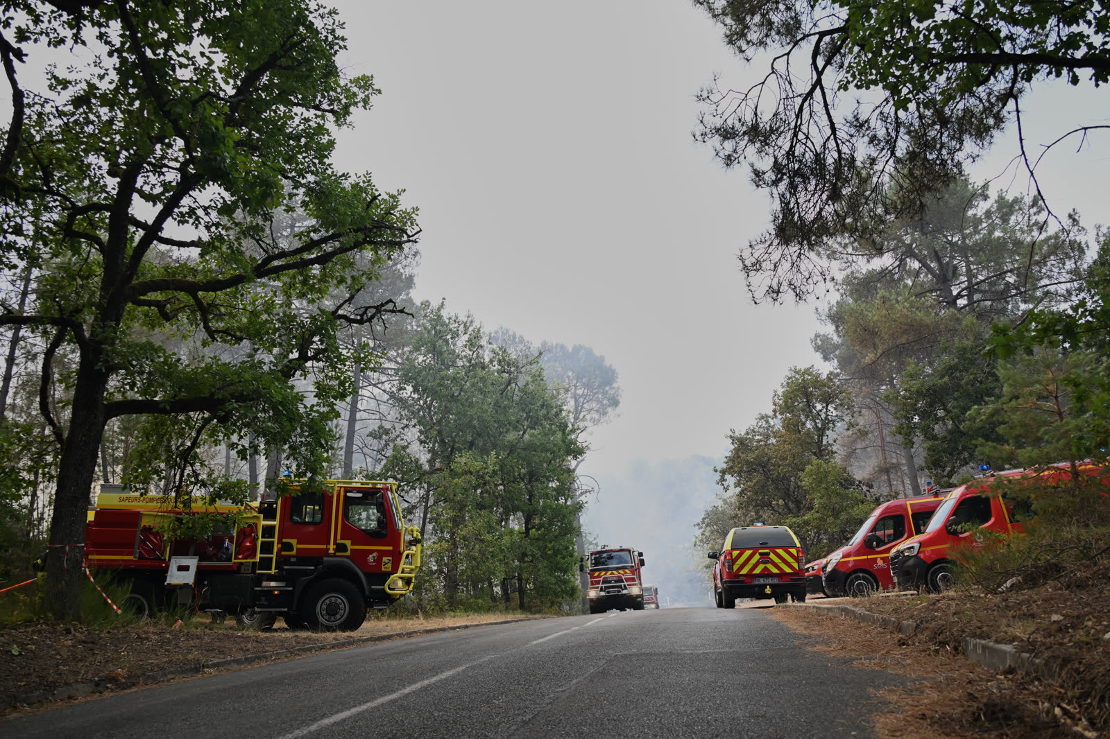 French fire engines line a road beneath smoke-filled trees in Fontainebleau forest during the July 2026 wildfire.