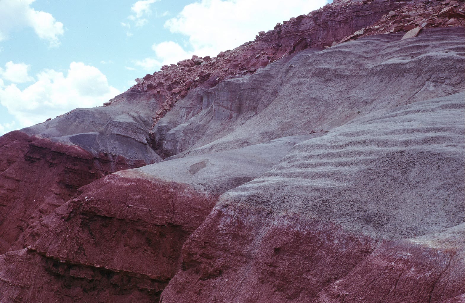 Field photograph of dark red and gray-green Chinle Formation outcrops beneath a blue sky in Capitol Reef National Park.