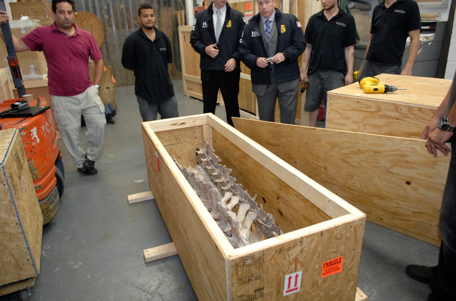 U.S. officials and fossil handlers stand around a wooden shipping crate containing part of a Tarbosaurus bataar skeleton during its return to Mongolia.