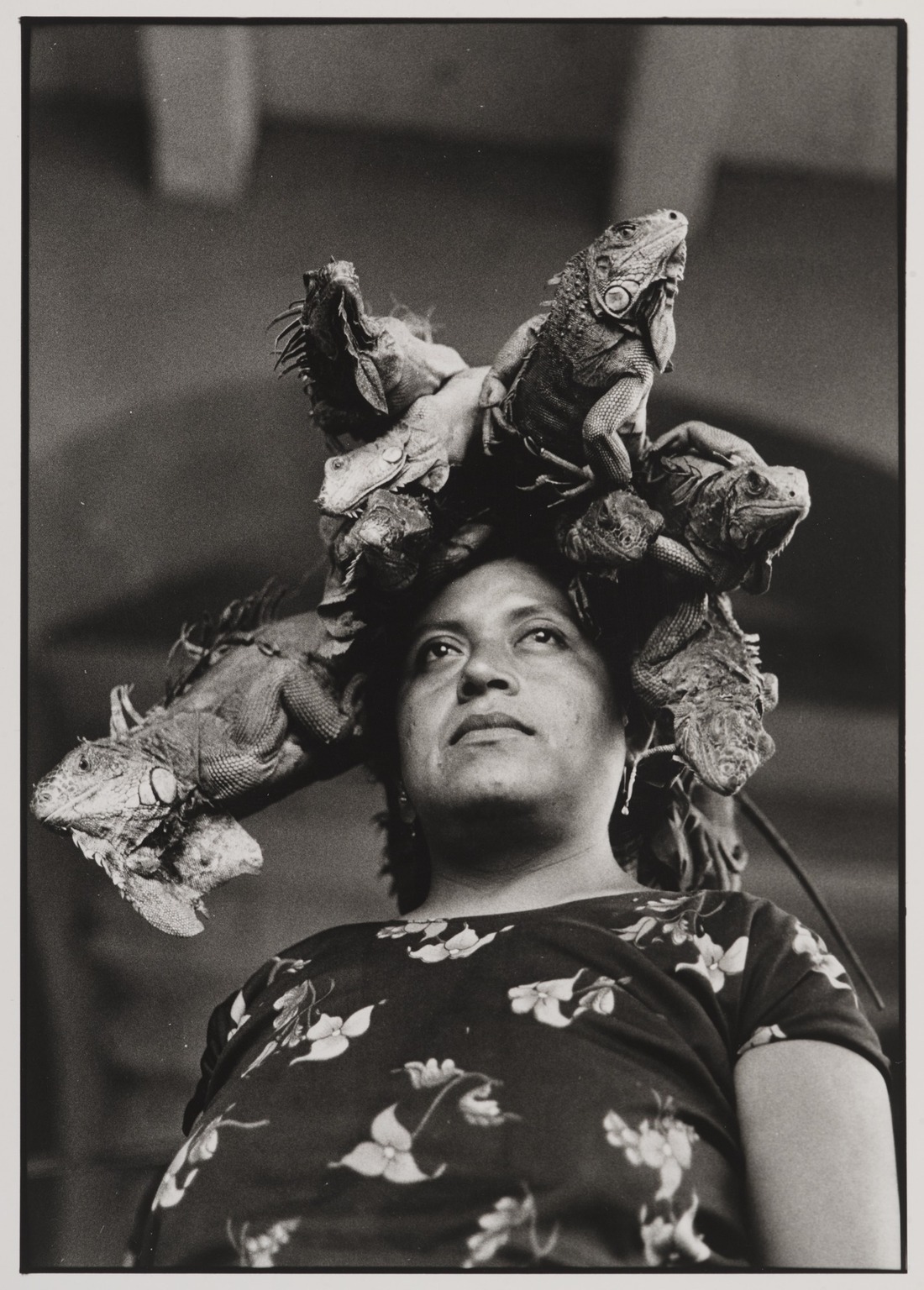 Black-and-white portrait by Graciela Iturbide of Zobeida Díaz looking upward while several live iguanas radiate from her head above a floral blouse.