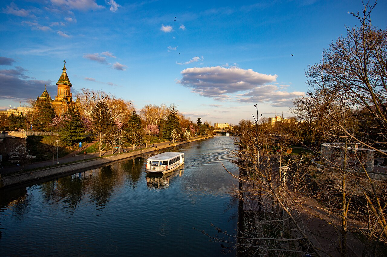 A white-and-blue Timișoara vaporetto moving along the Bega Canal with the Metropolitan Cathedral rising behind trees.