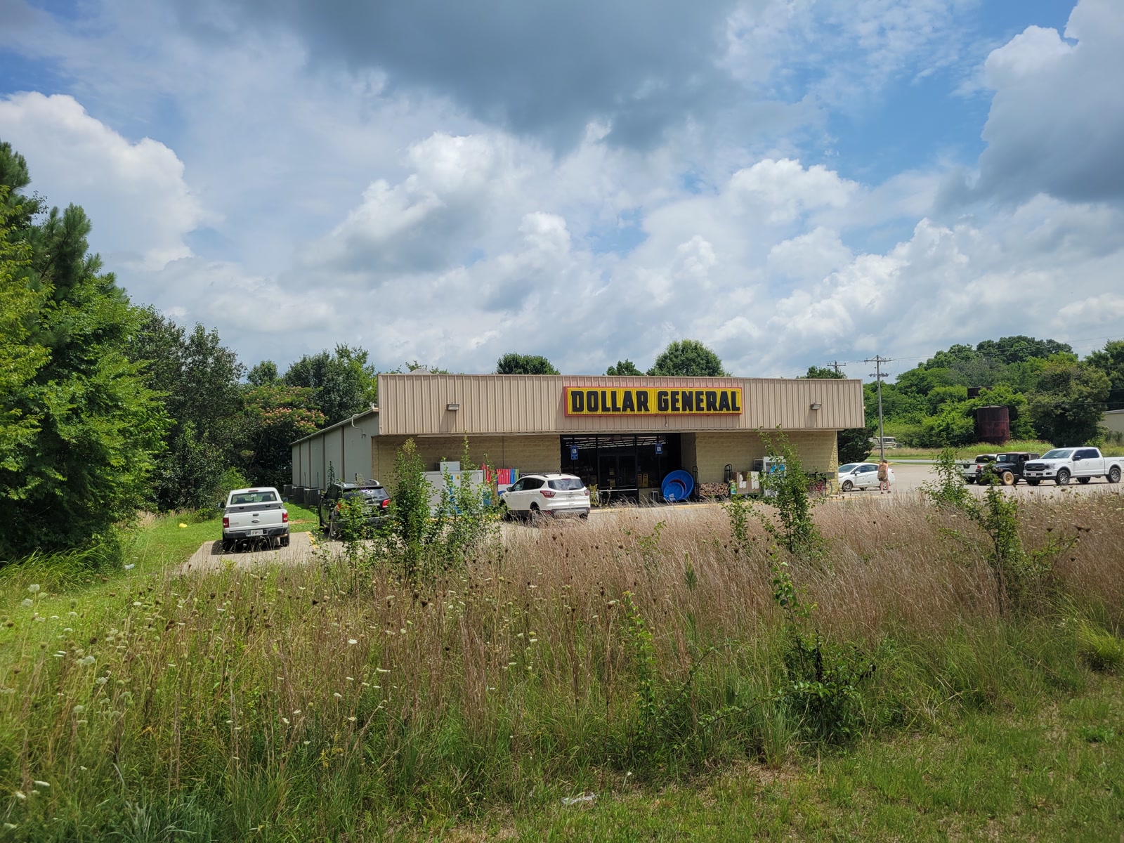 Dollar General storefront in Gordon County, Georgia, seen across tall roadside grass beneath a cloud-filled summer sky.
