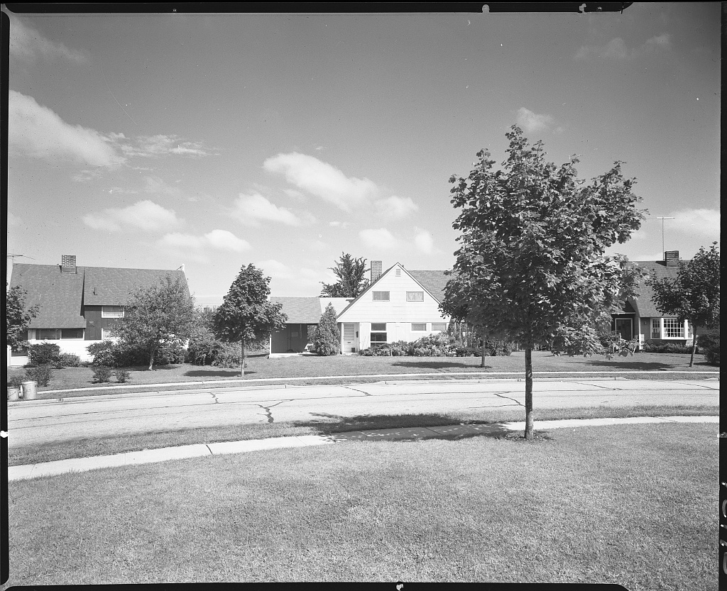 1958 年的莱维敦，一排坡屋顶独栋住宅前有宽阔草坪与幼树，临街而建。