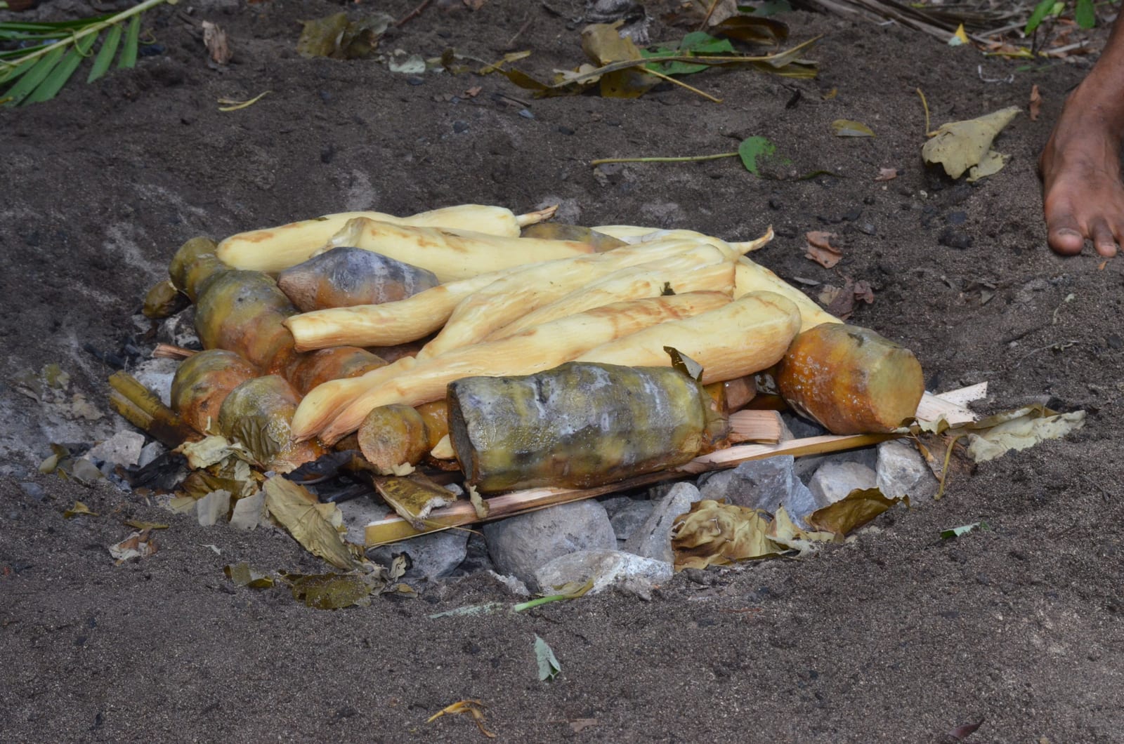 Cooked staple crops piled over stones and wilted leaves in an opened Fijian lovo pit.