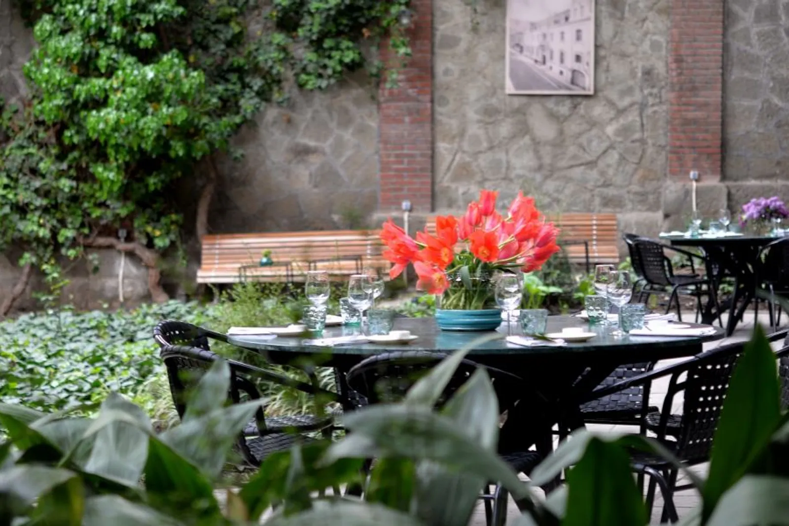 第比利斯 Café Littera 花园的浓密绿意间，一张黑色圆桌摆着水杯与红花。