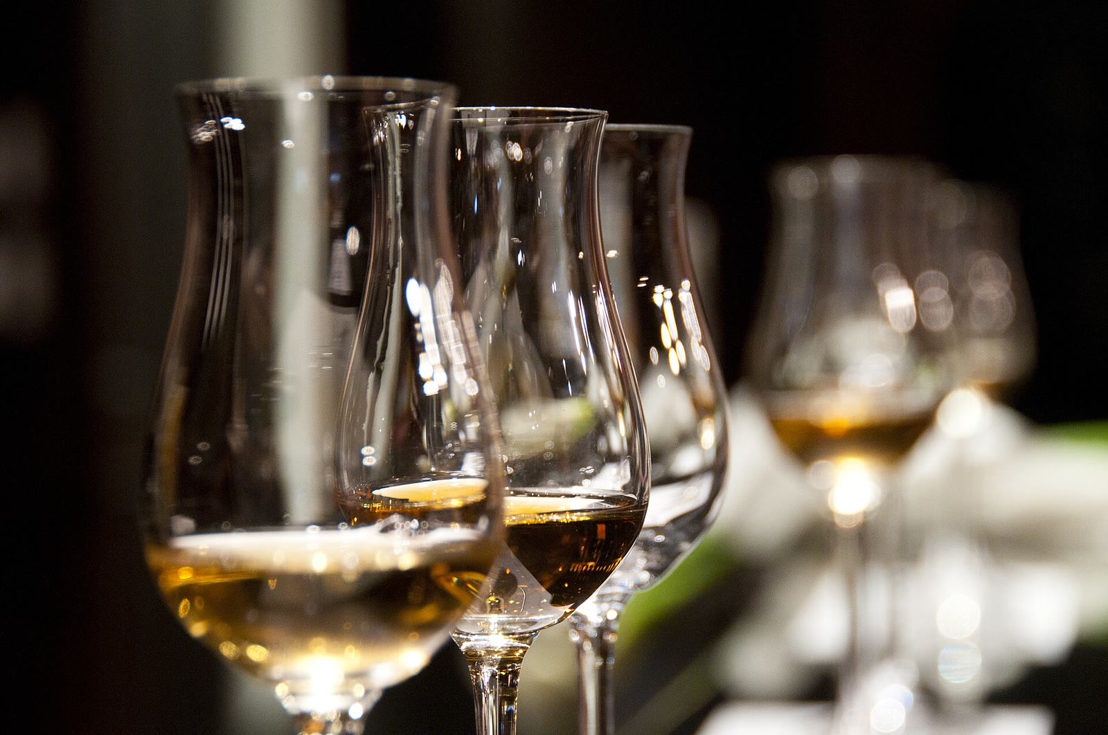 A close row of wine glasses with small amber pours repeating into soft focus under warm dining-room light.