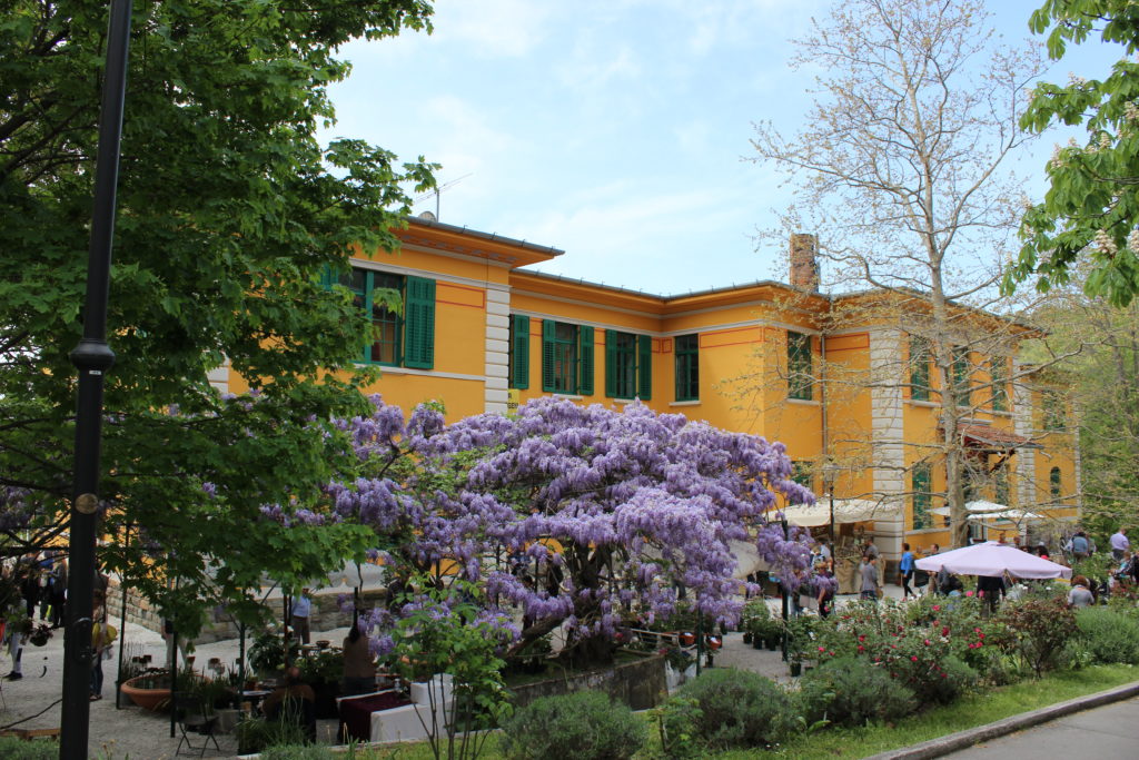 Daylight photograph of a former San Giovanni psychiatric hospital building in Trieste, seen across its green park grounds.