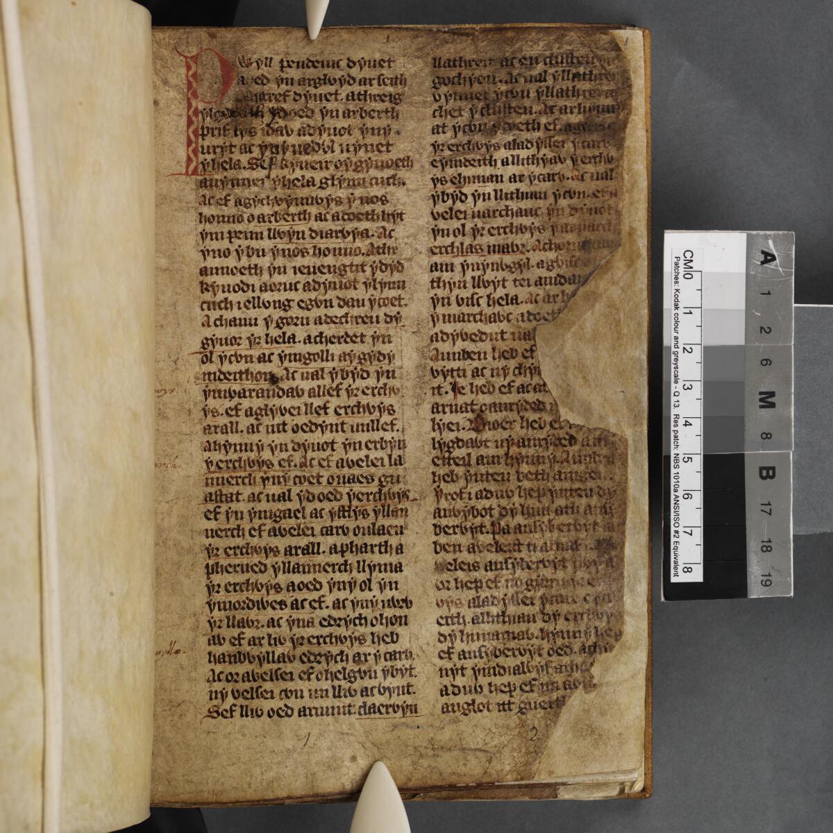 Open medieval manuscript on a conservation cradle, with dense brown Middle Welsh script, a large red initial, page wear, and a color scale.