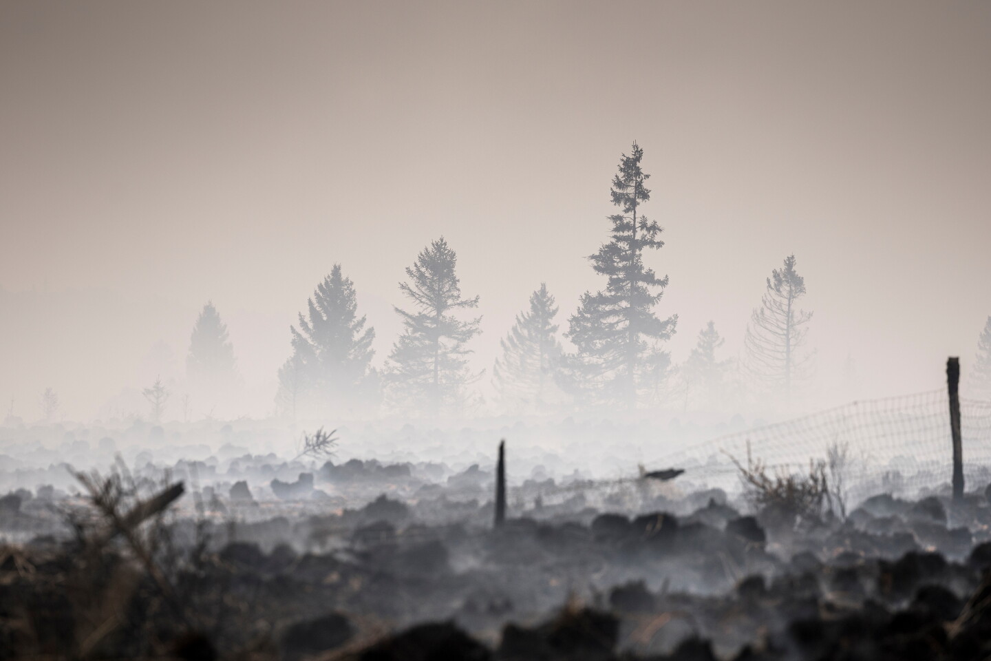 Smoke hangs over a scorched field and fire-damaged trees near Waimes during the High Fens wildfire.