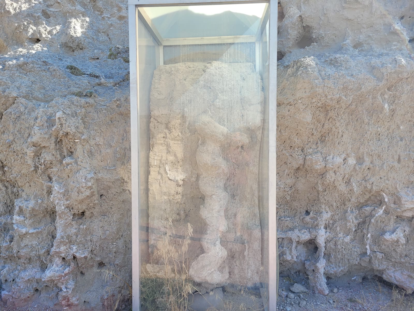 A pale spiral Daemonelix burrow cast standing behind glass in a protective trailside case set into the weathered rock at Agate Fossil Beds.