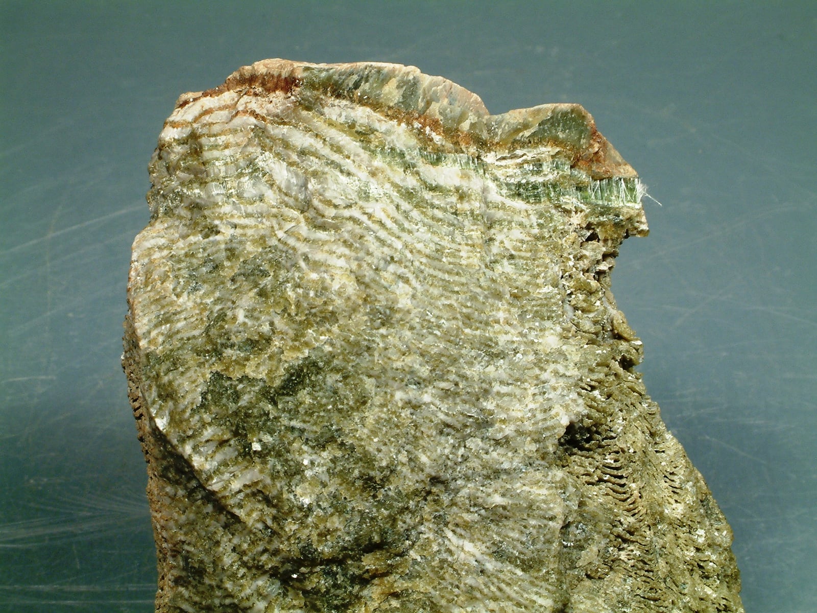 Close photograph of an Eozoon canadense rock specimen with folded pale calcite bands running through green serpentine-rich material.