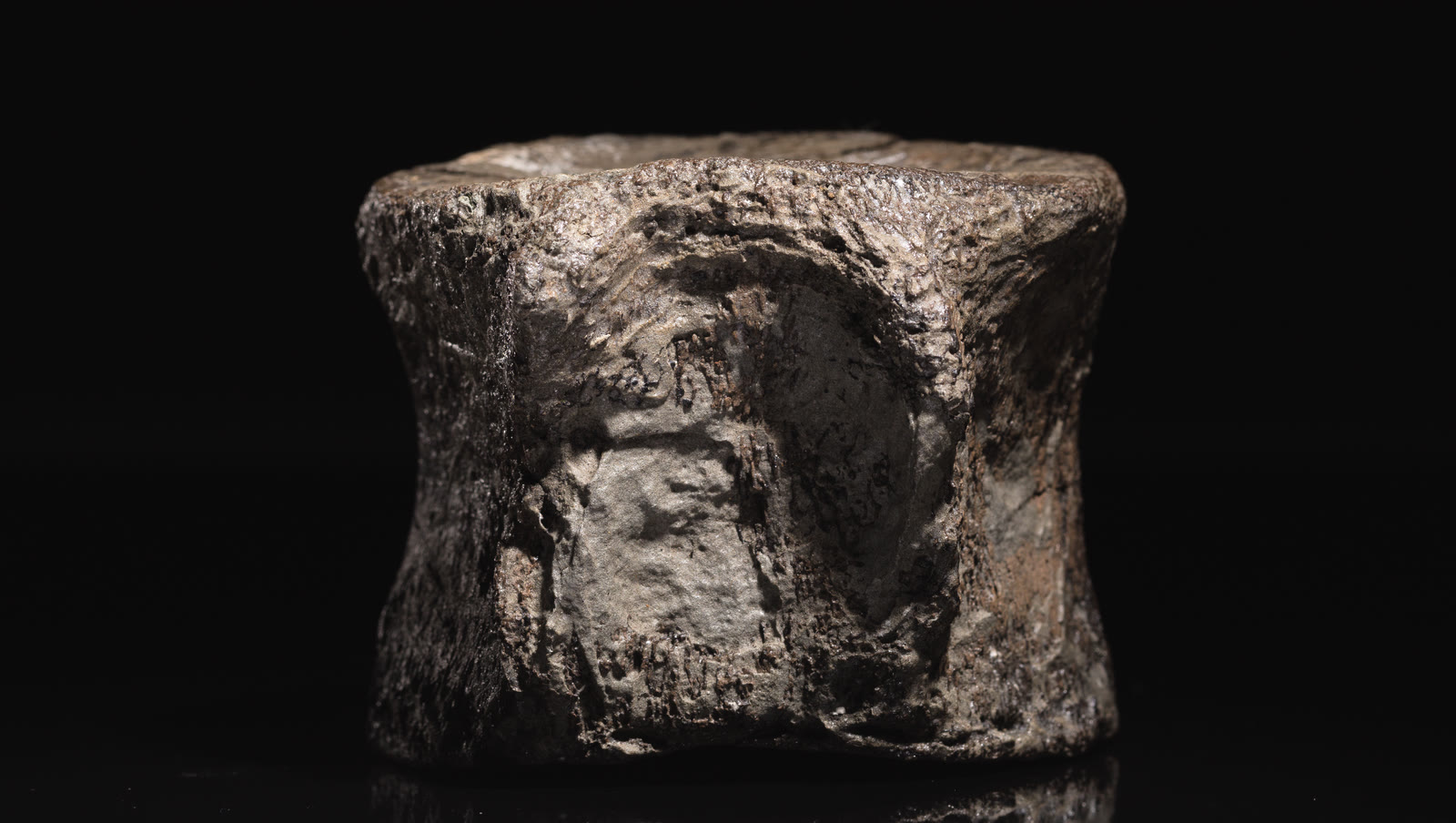 A dark, blocky fossil plesiosaur vertebral centrum photographed close up against black, with a recessed end surface and weathered bone texture.