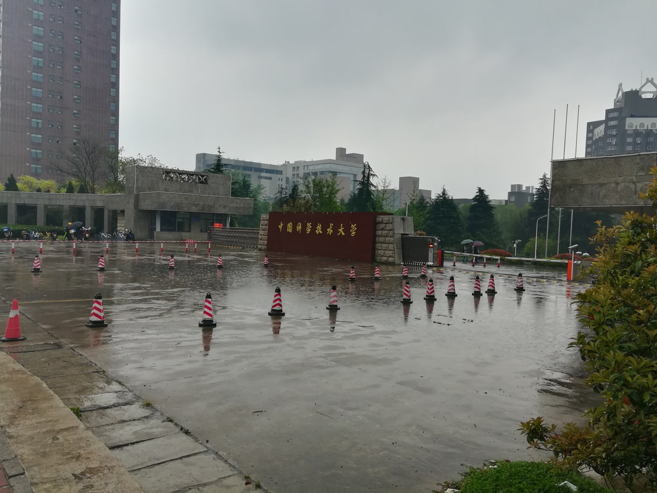 Rain-darkened pavement and the stone entrance sign at the University of Science and Technology of China in Hefei.