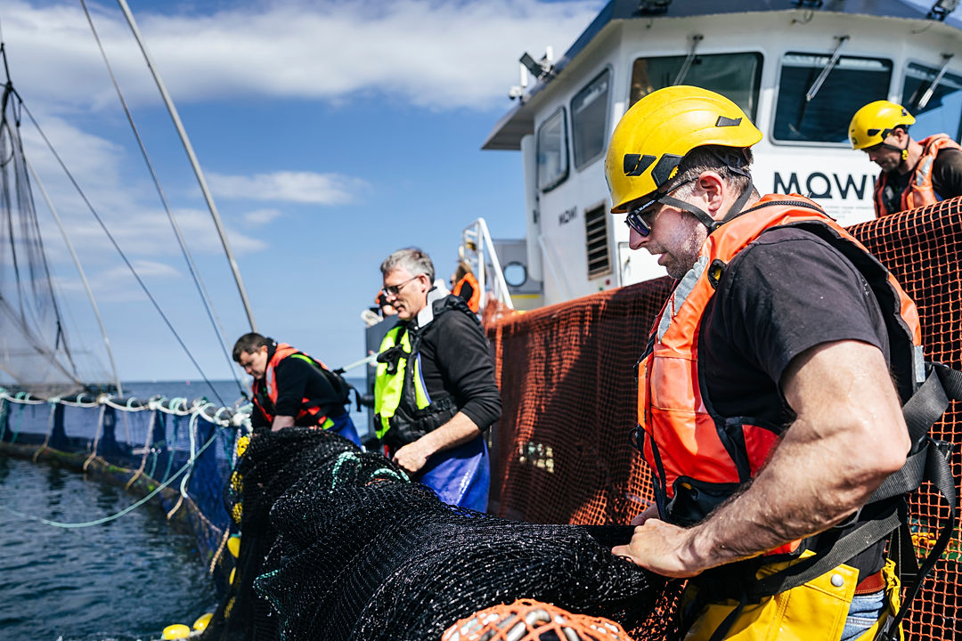 Mowi workers in life jackets handle black netting beside a sea pen and a workboat.