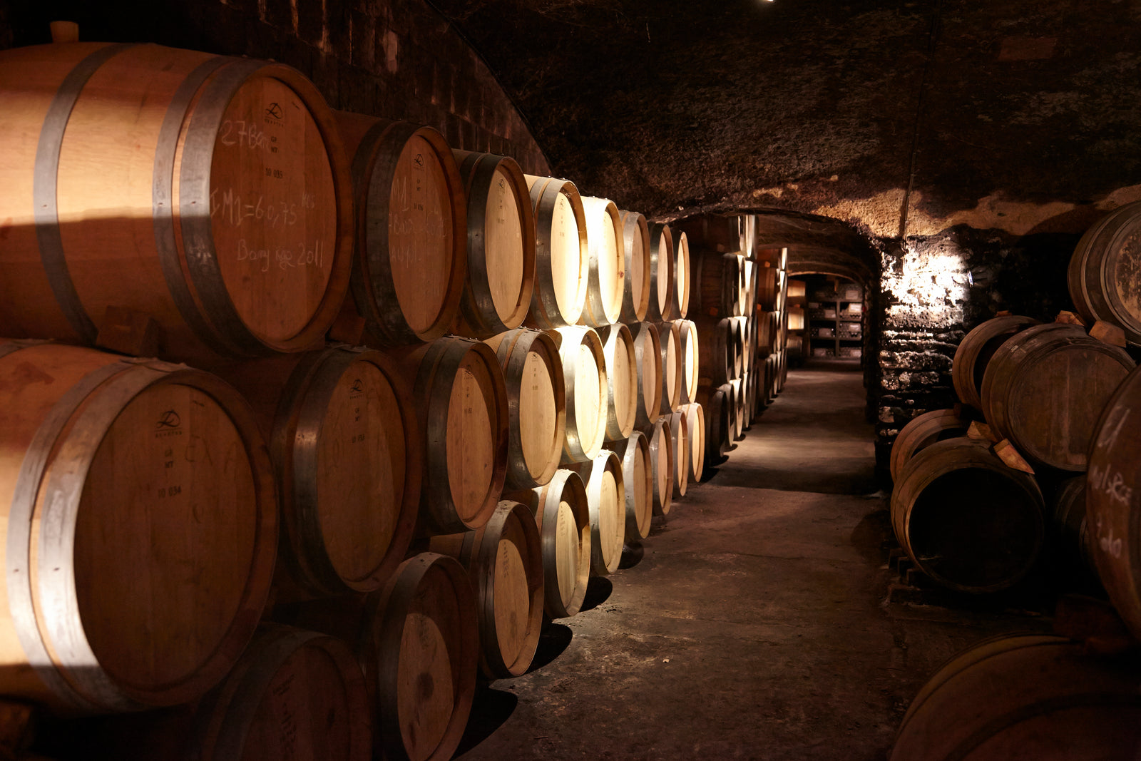 Wooden wine barrels line the underground cellar at Terres des Templiers in Banyuls-sur-Mer.