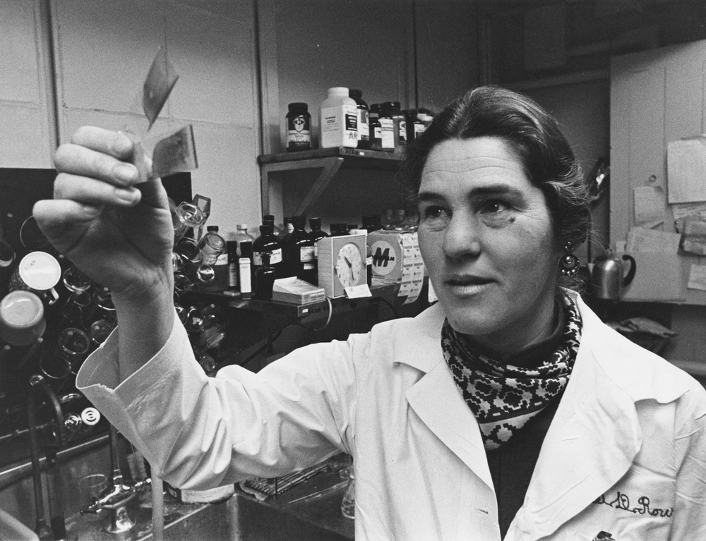 Janet Rowley raises a glass slide for inspection beside shelves of bottles in her University of Chicago laboratory.
