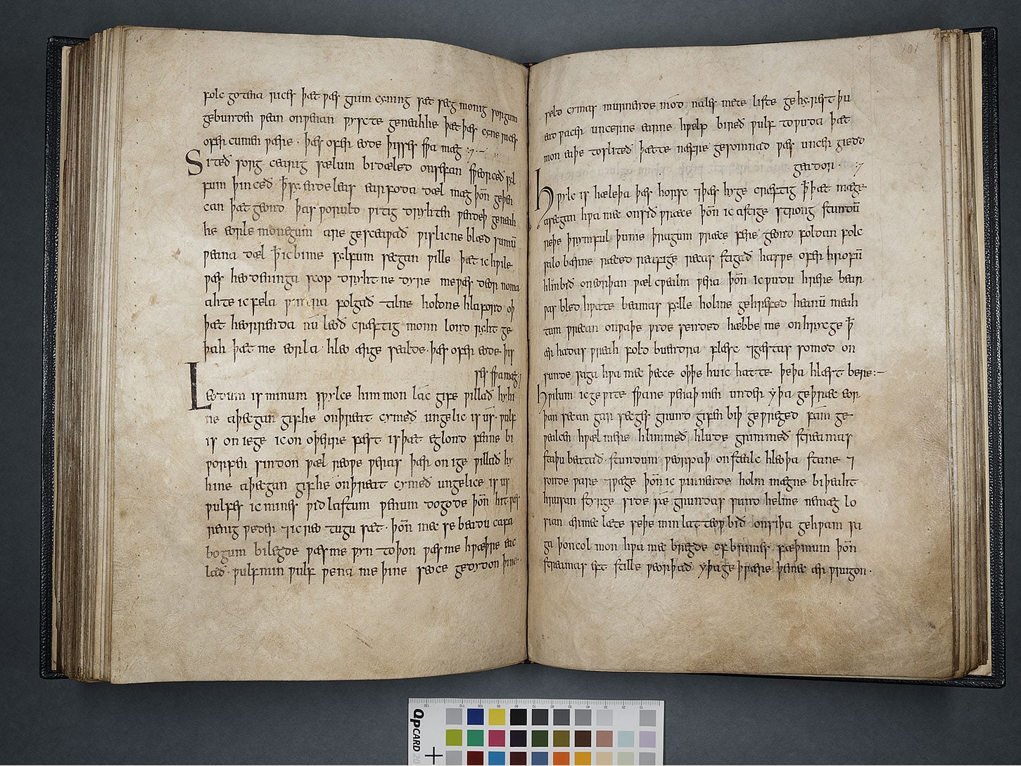 Open archival manuscript spread of the Exeter Book, showing two parchment folios densely written in brown ink.