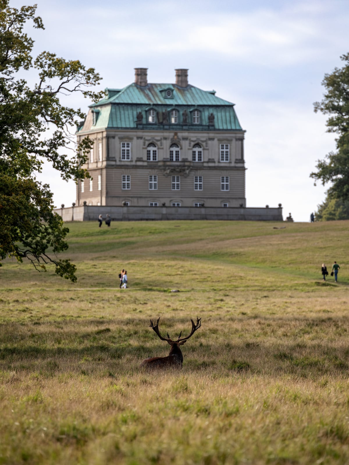A red deer stag resting in grass below the Hermitage Hunting Lodge in Dyrehaven, with walkers farther up the slope.