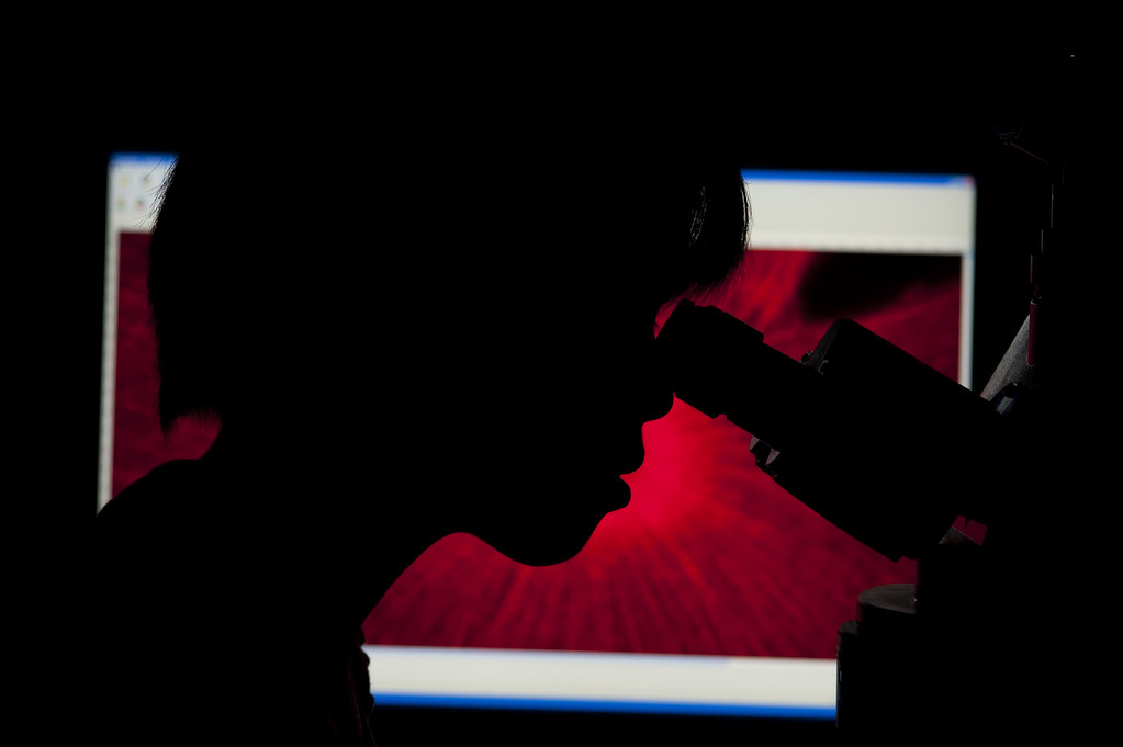A researcher silhouetted against a red microscopy image looks through a microscope at the National Eye Institute.