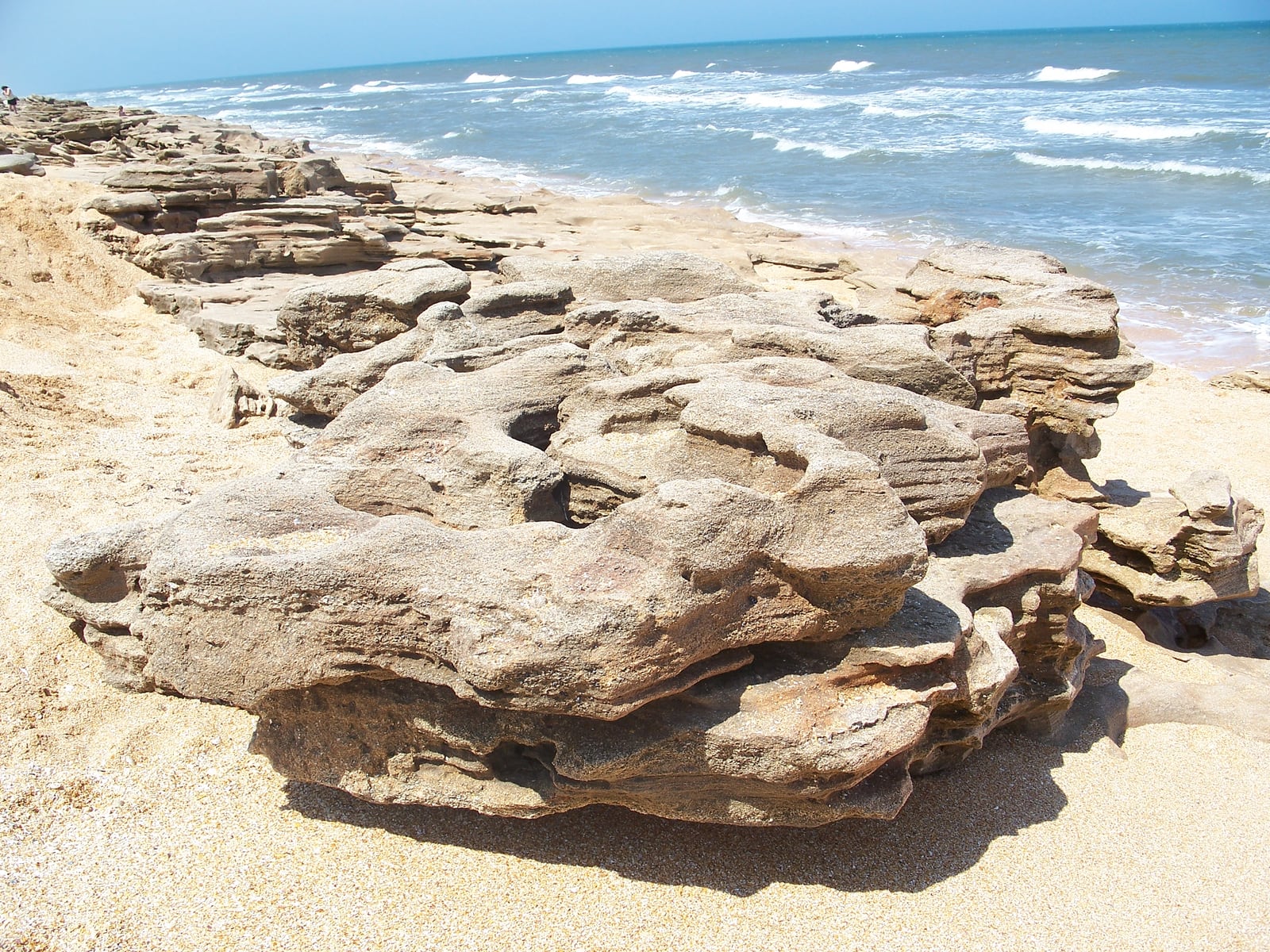 Photograph of an eroded coquina outcrop on the beach at Washington Oaks Gardens State Park, Florida.