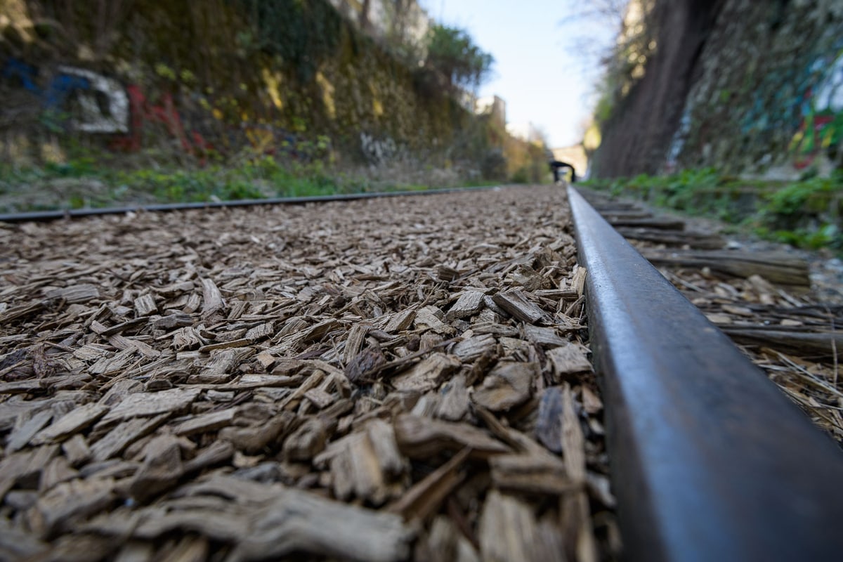 Wood chips between surviving railway rails in PC14, with plants and graffiti on the walls of the cutting.