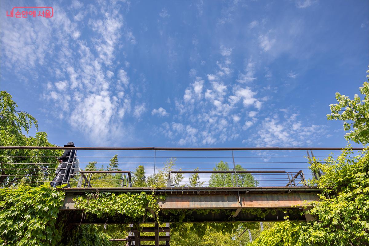 A visitor on an elevated walkway above ivy-covered concrete in Seonyudo Park’s Garden of Time, photographed from below.